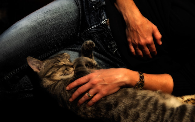 jeff strobel: lazy day