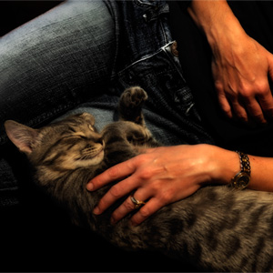 jeff strobel: lazy day